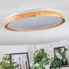 Sofo Plafondlamp, Paneel LED Wit, 1-licht, Afstandsbediening