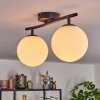 Gastor Plafondlamp, Kogellampje Wit, 2-lichts