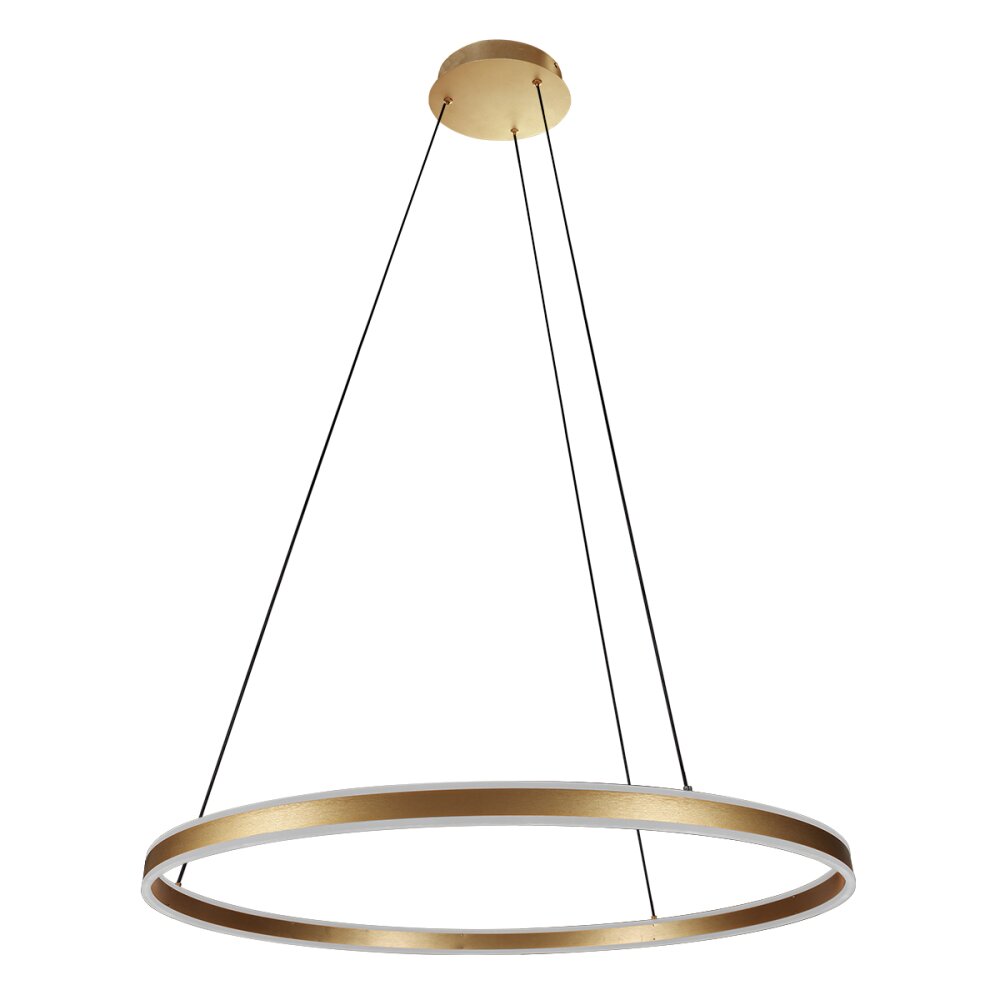steenhouwer Ringlux Hanglamp LED Goud, 2-lichts main product photo