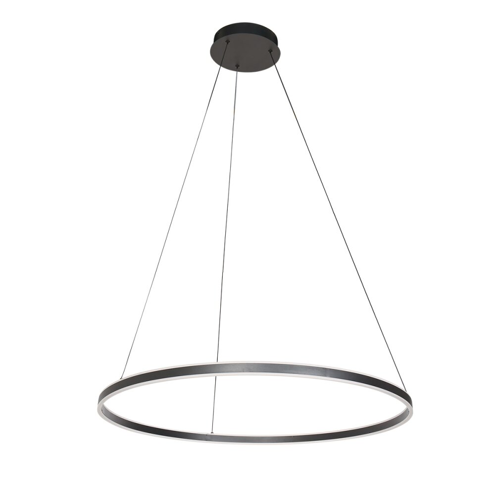 steenhouwer Ringlux Hanglamp LED Zwart, 2-lichts main product photo