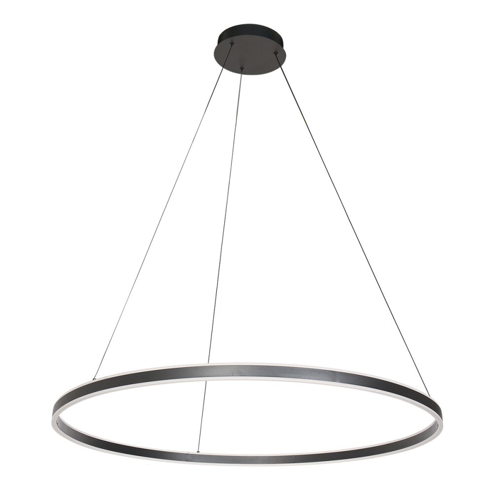 steenhouwer Ringlux Hanglamp LED Zwart, 2-lichts main product photo