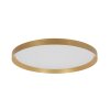 steenhouwer Flady Plafondlamp LED Goud, 2-lichts