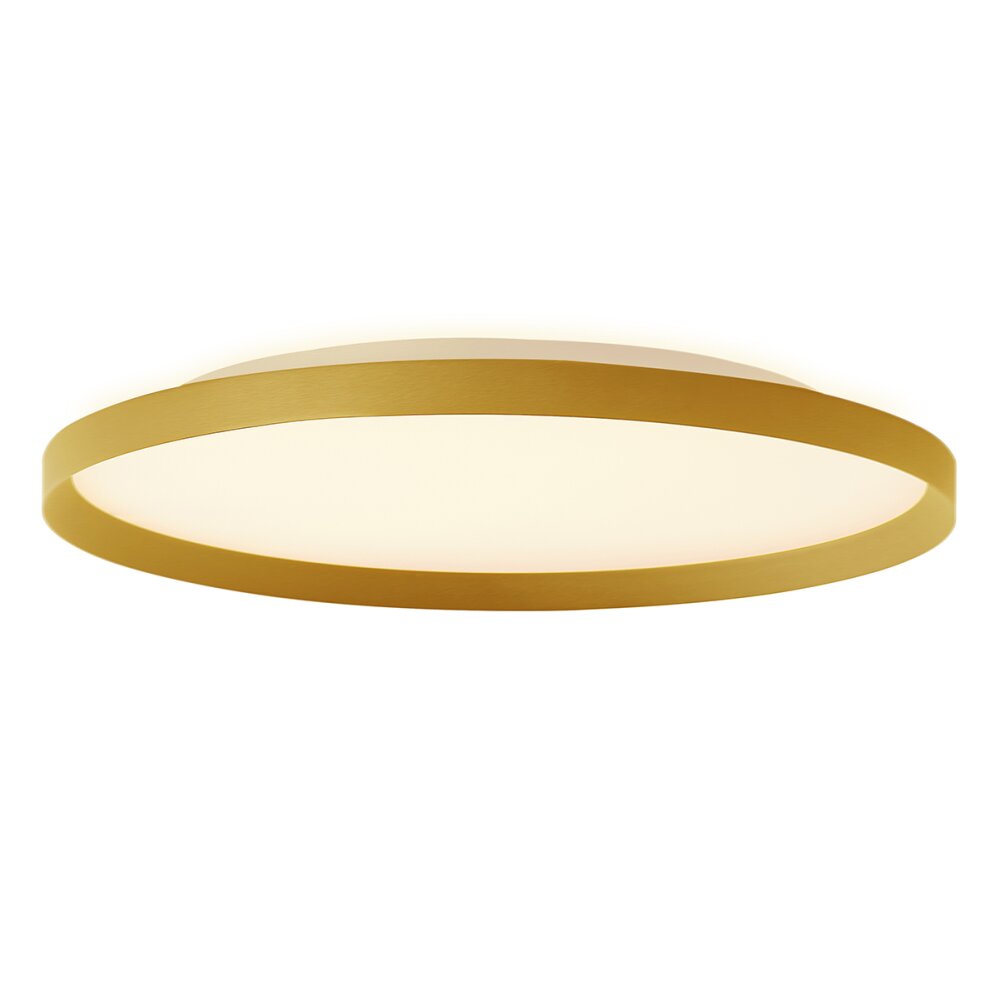 steenhouwer Flady Plafondlamp LED Goud, 2-lichts main product photo