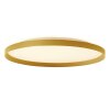 steenhouwer Flady Plafondlamp LED Goud, 2-lichts