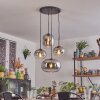 Apedo Hanglamp, Kogellampje, Hanglamp Duidelijk, Rookkleurig, 4-lichts