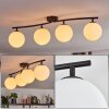 Gastor Plafondlamp, Kogellampje Wit, 4-lichts
