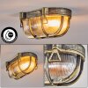 Godel Plafondlamp voor buiten, Plafondlamp Goud, Zwart, 1-licht Godel Plafondlamp voor buiten, Plafondlamp Goud, Zwart, 1-licht