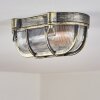 Godel Plafondlamp voor buiten, Plafondlamp Goud, Zwart, 1-licht Godel Plafondlamp voor buiten, Plafondlamp Goud, Zwart, 1-licht