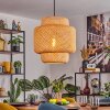 Vireda Hanglamp, Hanglamp Zwart, 1-licht