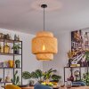 Vireda Hanglamp, Hanglamp Zwart, 1-licht