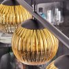 Koyoto Hanglamp, Kogellampje, Hanglamp Goud, Duidelijk, 4-lichts