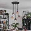 Gastor Hanglamp, Kogellampje, Hanglamp Amber, Duidelijk, Rookkleurig, 5-lichts
