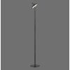Lichten Direct AMAG Staande lamp LED Zwart, 1-licht