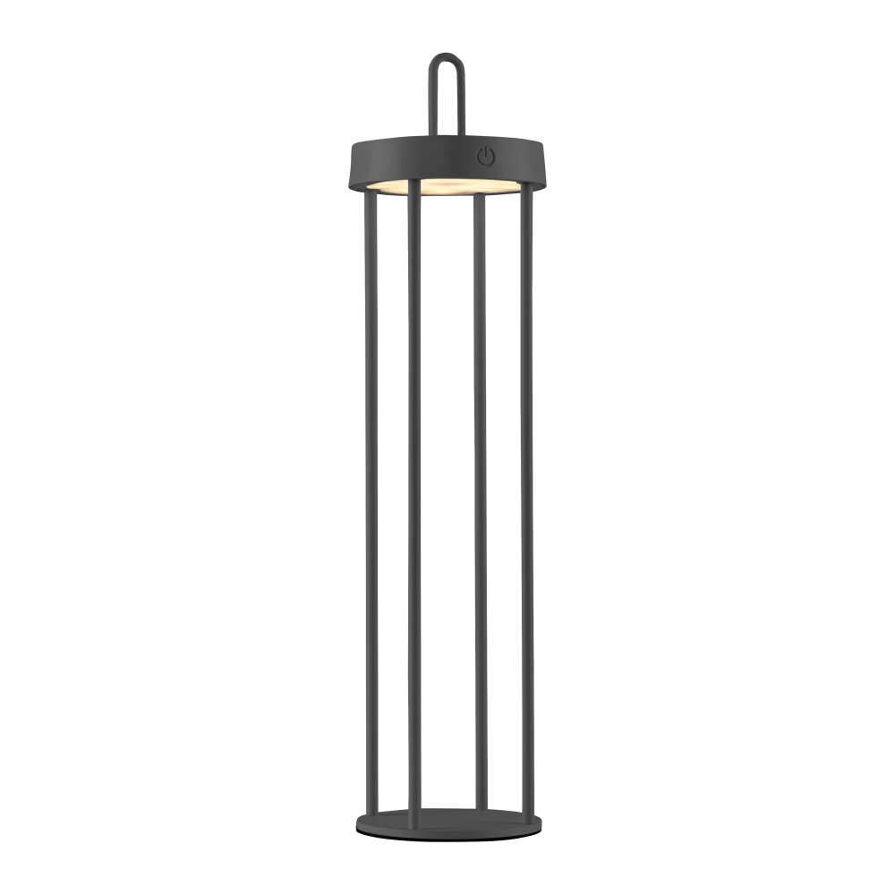 Lichten Direct ANSELM Staande lamp LED Zwart, 1-licht