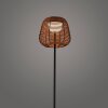 Lichten Direct ASKIA Staande lamp LED Zwart, 1-licht