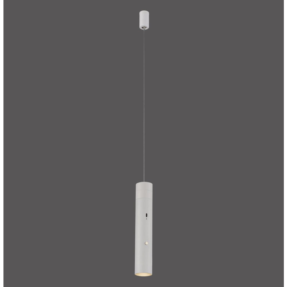 Lichten Direct ATTACH Hanglamp LED Wit, 1-licht main product photo