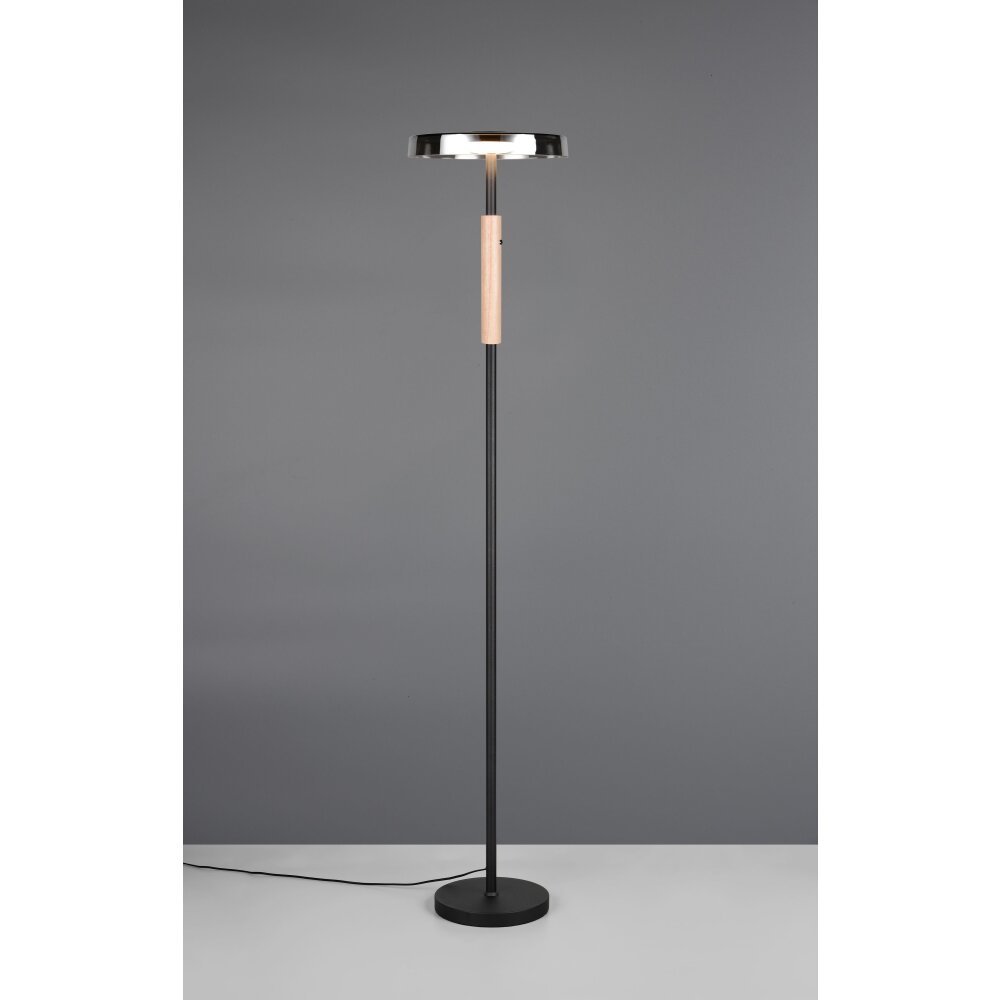 Trio verlichting Celeste Staande lamp LED Zwart, 1-licht main product photo