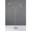 Trio verlichting Marley Staande lamp, Booglampen Nikkel mat, 5-lichts