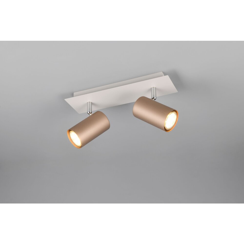 Trio verlichting Marley Plafondspot Bruin, 2-lichts main product photo