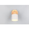 Trio verlichting Shanti Plafondspot Grijs, 1-licht