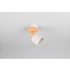 Trio verlichting Shanti Plafondspot Grijs, 1-licht