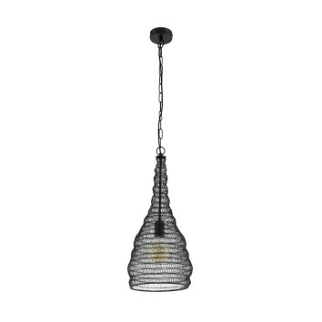 Eglo COLTEN Hanger Zwart, 1-licht