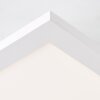 Briljante lampen Ellia Paneel LED Wit, 1-licht, Afstandsbediening
