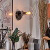 Koyoto Kogellampje, Wandlamp, Muurspot Duidelijk, 1-licht