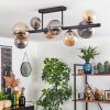 Chehalis Plafondlamp, Kogellampje Amber, Rookkleurig, 8-lichts