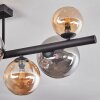 Chehalis Plafondlamp, Kogellampje Amber, Rookkleurig, 8-lichts