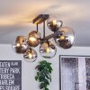 Chehalis Plafondlamp, Kogellampje Chroom, Duidelijk, Rookkleurig, 8-lichts