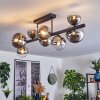 Chehalis Plafondlamp, Kogellampje Chroom, Duidelijk, Rookkleurig, 8-lichts
