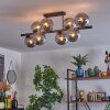 Gastor Plafondlamp, Kogellampje Rookkleurig, 8-lichts