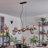 Chehalis Kogellampje, Hanglamp Rookkleurig, 10-lichts