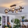 Chehalis Plafondlamp, Kogellampje Duidelijk, Rookkleurig, 8-lichts