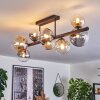Chehalis Plafondlamp, Kogellampje Amber, Duidelijk, Rookkleurig, 8-lichts