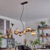 Chehalis Hanglamp, Kogellampje, Hanglamp Amber, Rookkleurig, 8-lichts