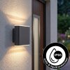 Paranhas Wandlamp voor buiten, Badkamerlamp, Licht omhoog & omlaag, Wandlamp Antraciet, 1-licht