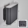 Paranhas Wandlamp voor buiten, Badkamerlamp, Licht omhoog & omlaag, Wandlamp Antraciet, 1-licht