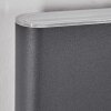 Paranhas Wandlamp voor buiten, Badkamerlamp, Licht omhoog & omlaag, Wandlamp Antraciet, 1-licht
