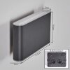 Paranhas Wandlamp voor buiten, Badkamerlamp, Licht omhoog & omlaag, Wandlamp Antraciet, 1-licht