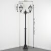 Fornelos Buitenlicht, Kandelaar, Pad licht Zwart, 2-lichts