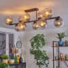 Koyoto Plafondlamp, Kogellampje Duidelijk, Rookkleurig, 10-lichts