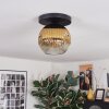 Ripoll Plafondlamp, Kogellampje Goud, Duidelijk, 1-licht