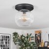 Ripoll Plafondlamp, Kogellampje Duidelijk, 1-licht