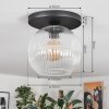 Ripoll Plafondlamp, Kogellampje Duidelijk, 1-licht