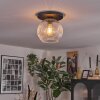 Ripoll Plafondlamp, Kogellampje Duidelijk, 1-licht