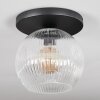 Ripoll Plafondlamp, Kogellampje Duidelijk, 1-licht