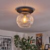 Ripoll Plafondlamp, Kogellampje Duidelijk, 1-licht