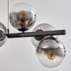Gastor Hanglamp, Kogellampje, Hanglamp Duidelijk, Rookkleurig, 8-lichts